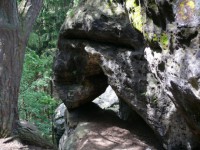 /album/fotogalerie-cinibulkova-stezka-a-lakave-skalni-labyrinty/prolezovacky-jsou-piskovcove-bloky-s-mnoha-dutinami-jez-jsou-spojeny-uzkymi-prulezy-jpg1/
